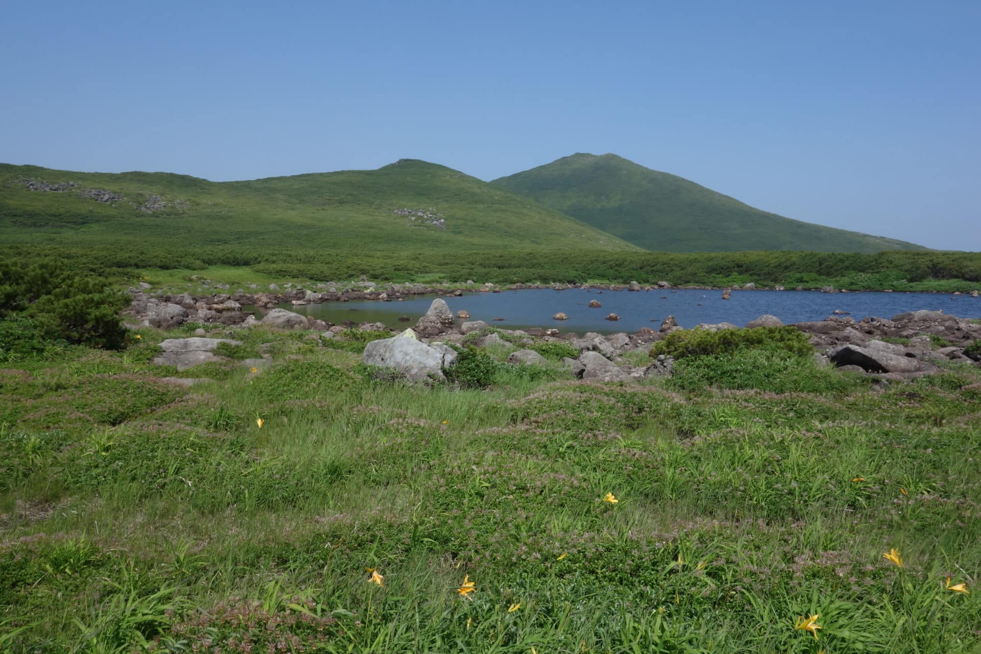 Hiking Shiretoko National Park, Hokkaido. 4-day trip. Certified guide