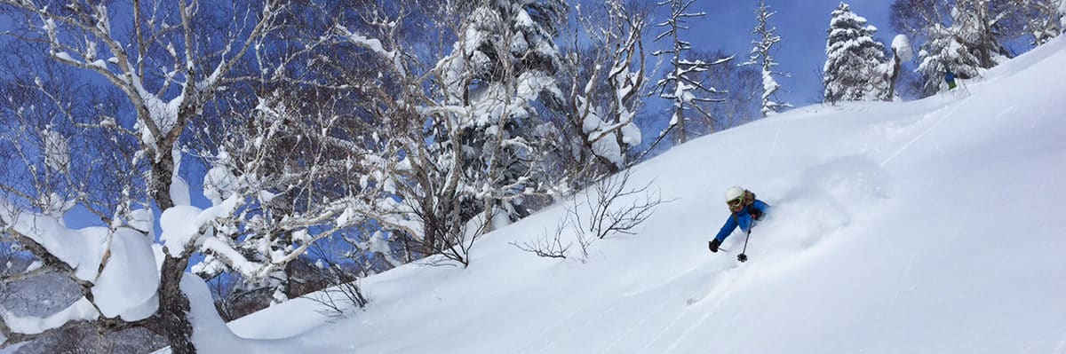 Powder skiing in Hokkaido