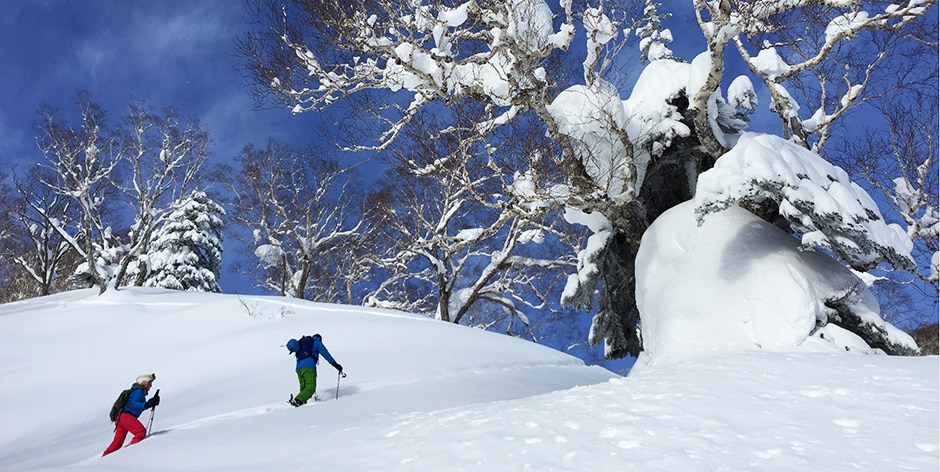 Ski touring in Hokkaido