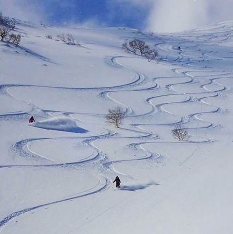 Backcountry ski in Rishiri with a guide