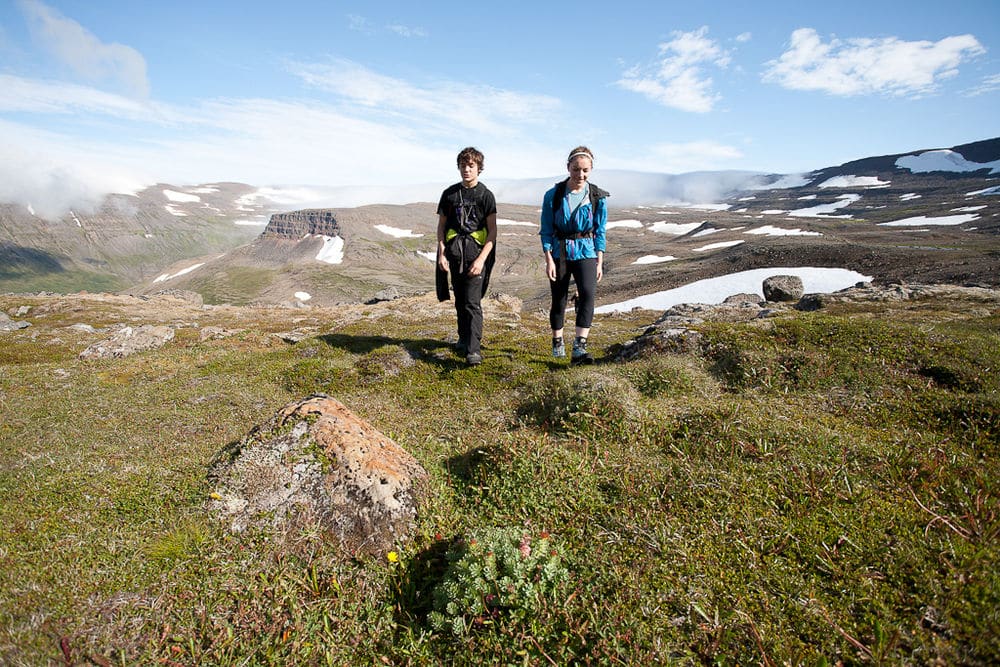 Hornstrandir 1-day guided hiking tour. 1-day trip. Certified leader