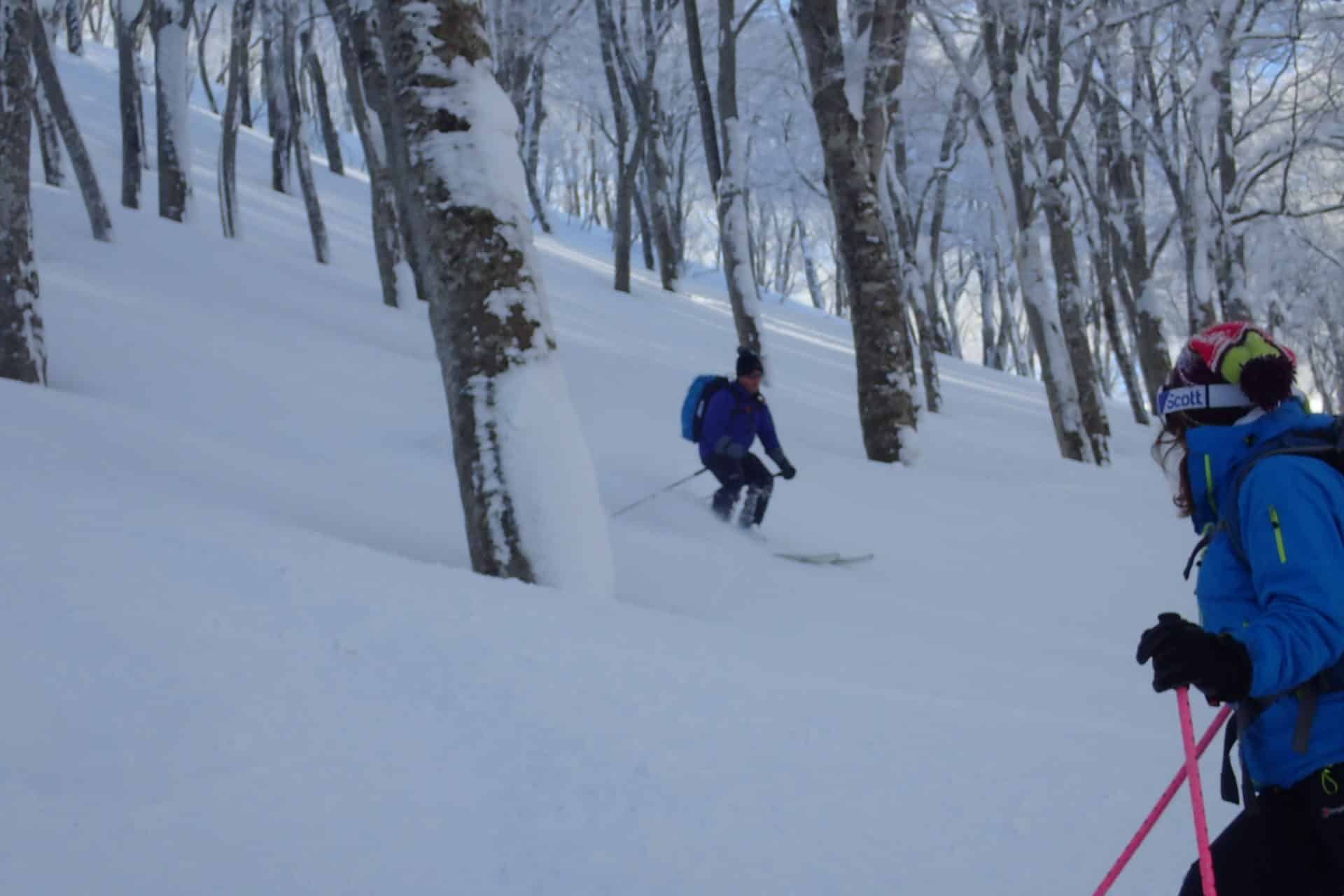 Freeride skiing in Nozawa Onsen. Off piste skiing trip. Certified leader