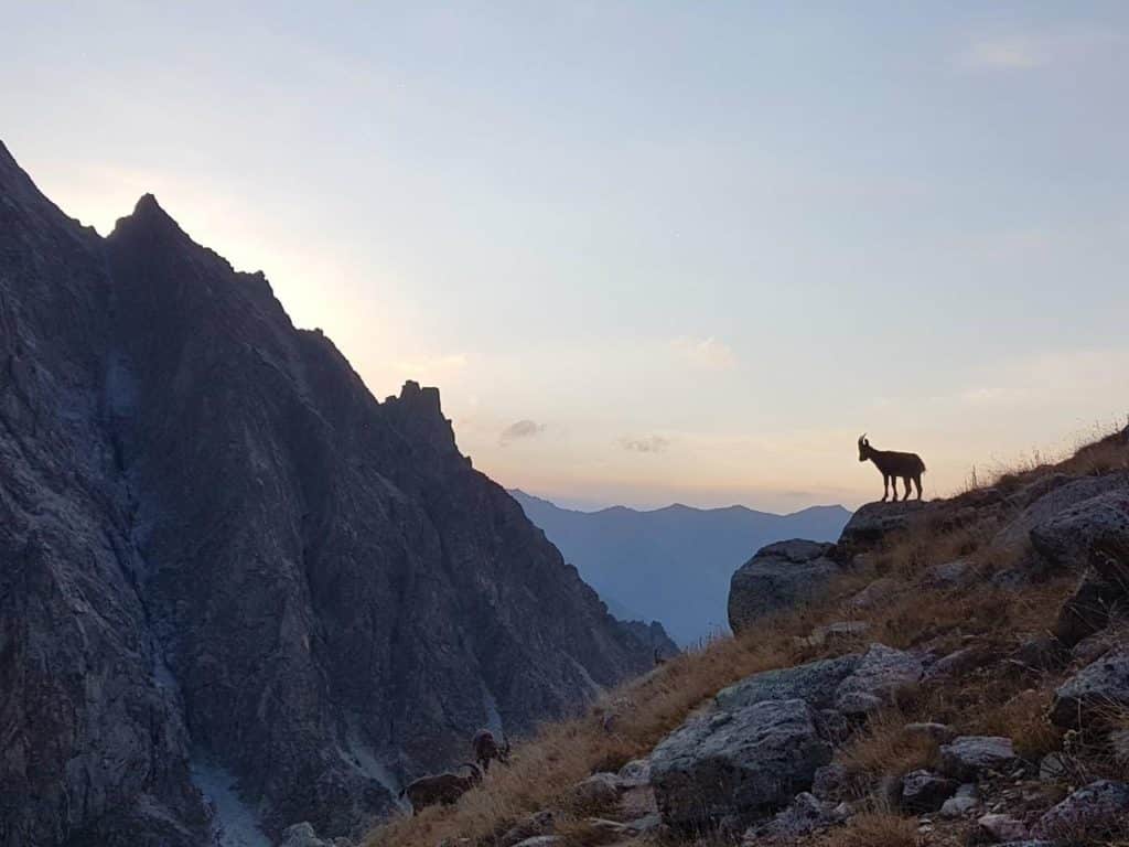 Wild life and stunning landscapes