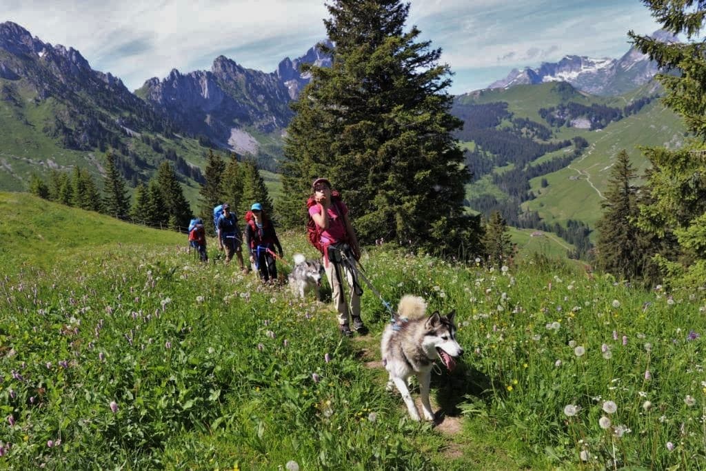 Valais 2020 Top 10 Tours Activities With Photos