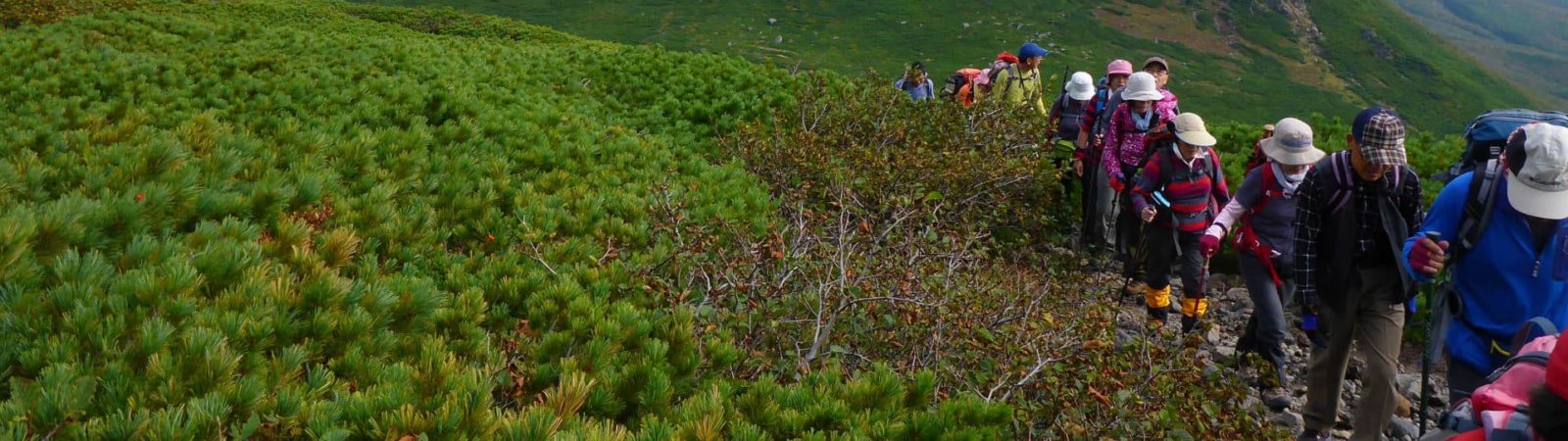 1 Day Mt Rausu Trekking In Shiretoko Hokkaido 1 day Trip JMGA Leader