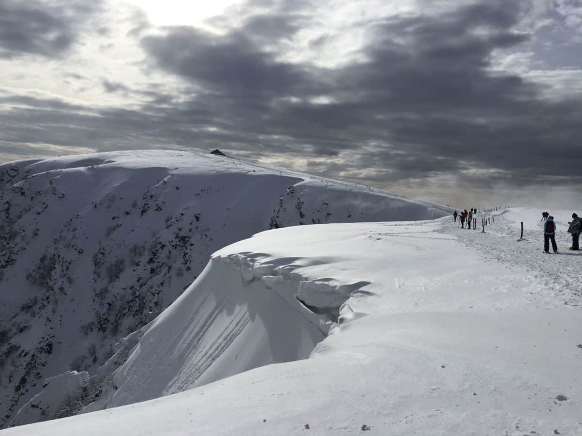 Vosges