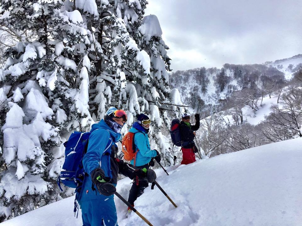 Hokkaido BC ski