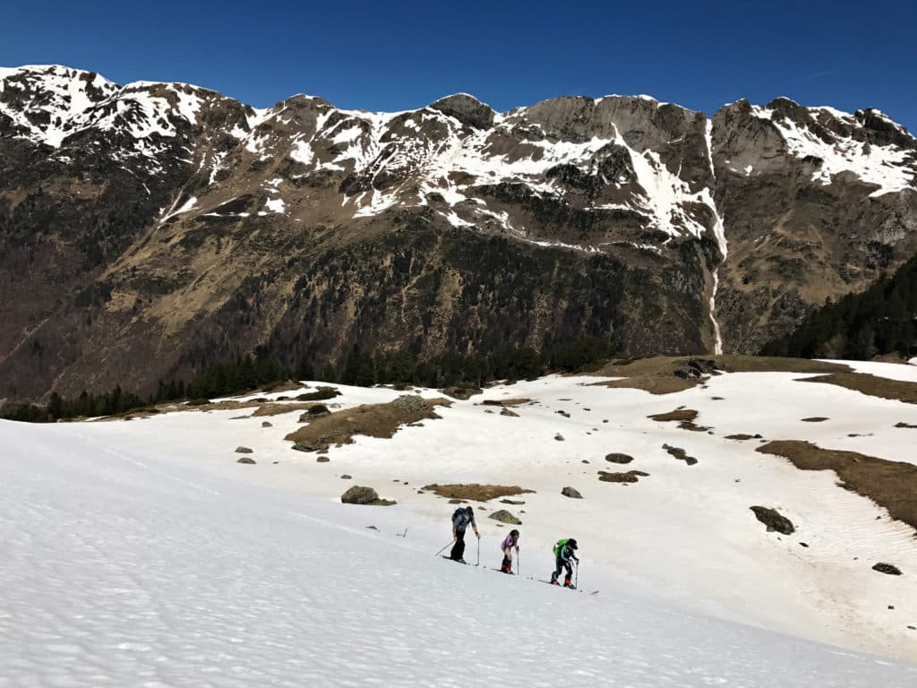 Pyrenees
