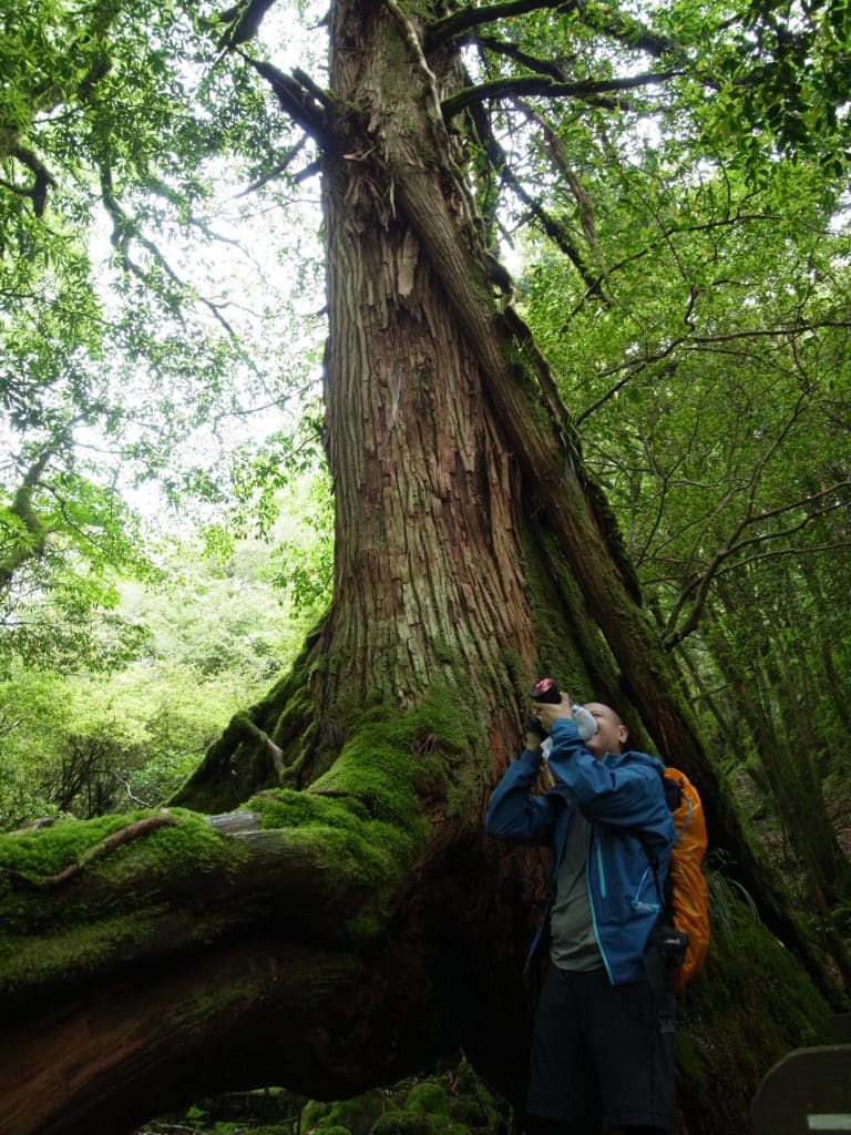 Yakushima