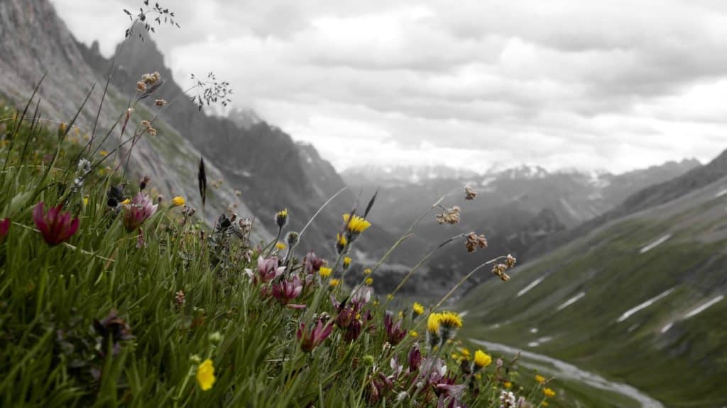 Hiking the Tour du Mont Blanc