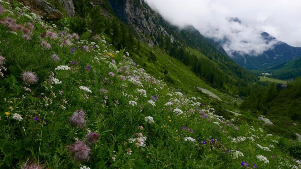 Hiking the Tour du Mont Blanc