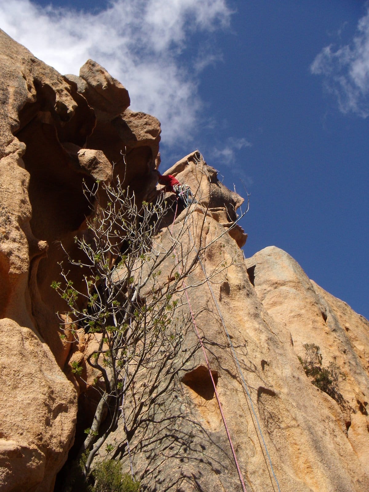 Porto (Corsica) guided rock climbing day. Rock Climbing trip. IFMGA leader