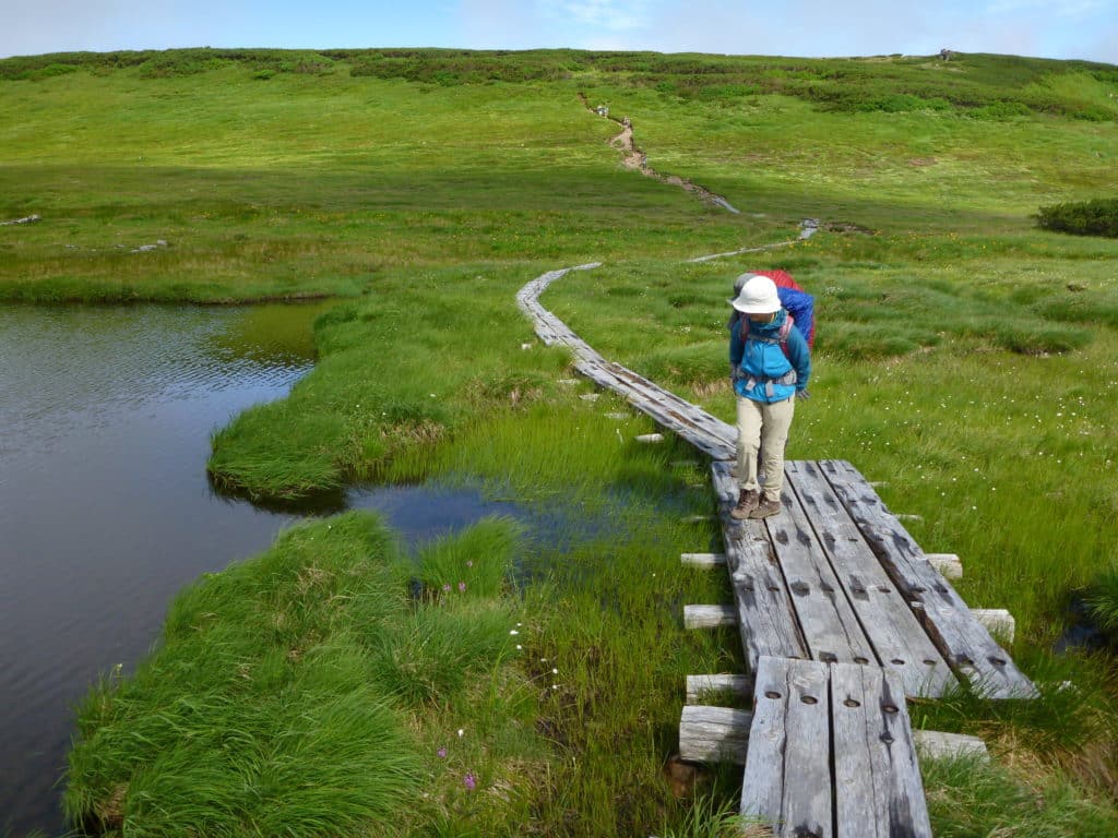 differences between hiking and mountaineering