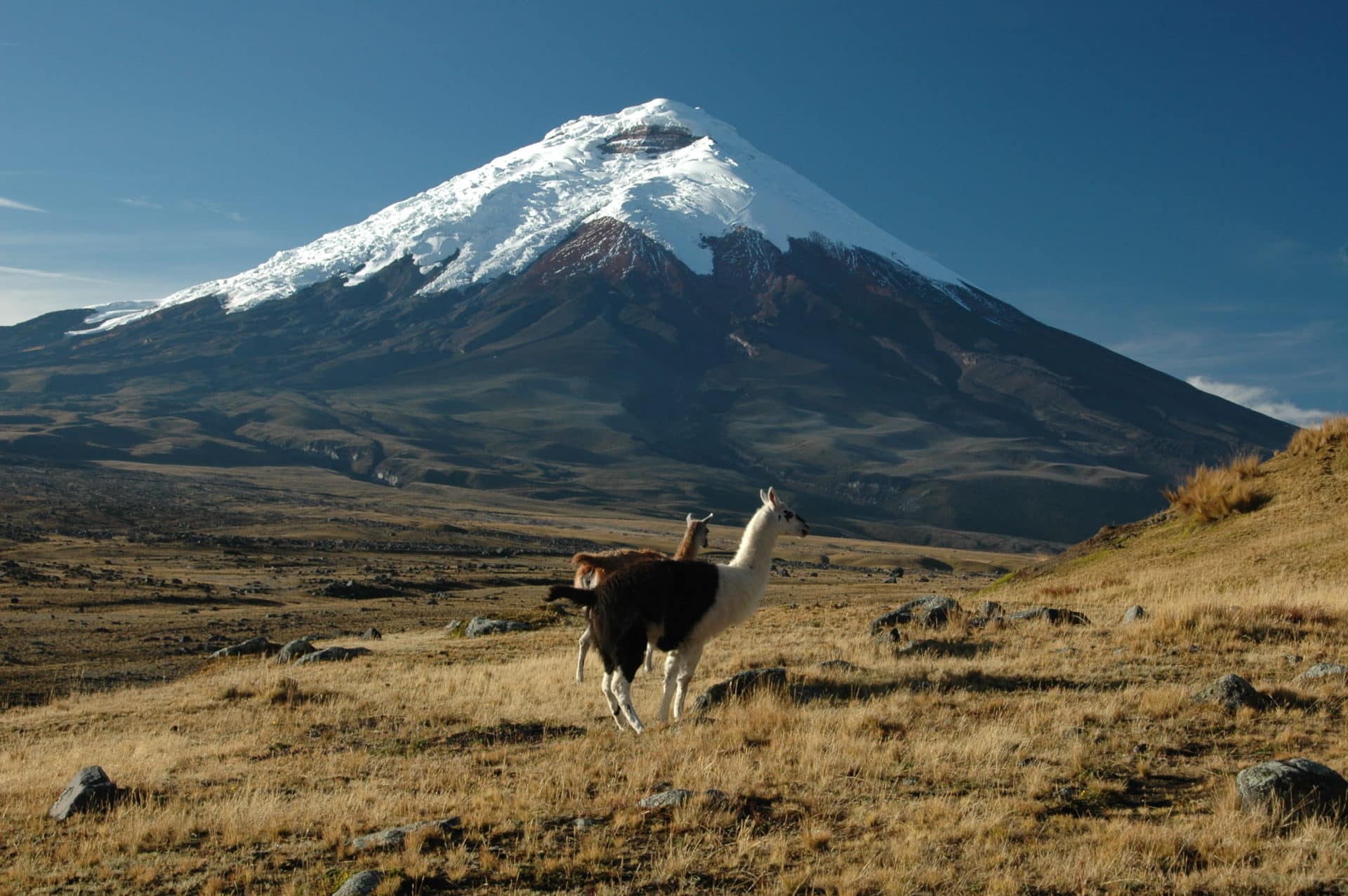 two-day-mountaineering-tour-to-cotopaxi-volcano-2-day-trip-uiagm-leader