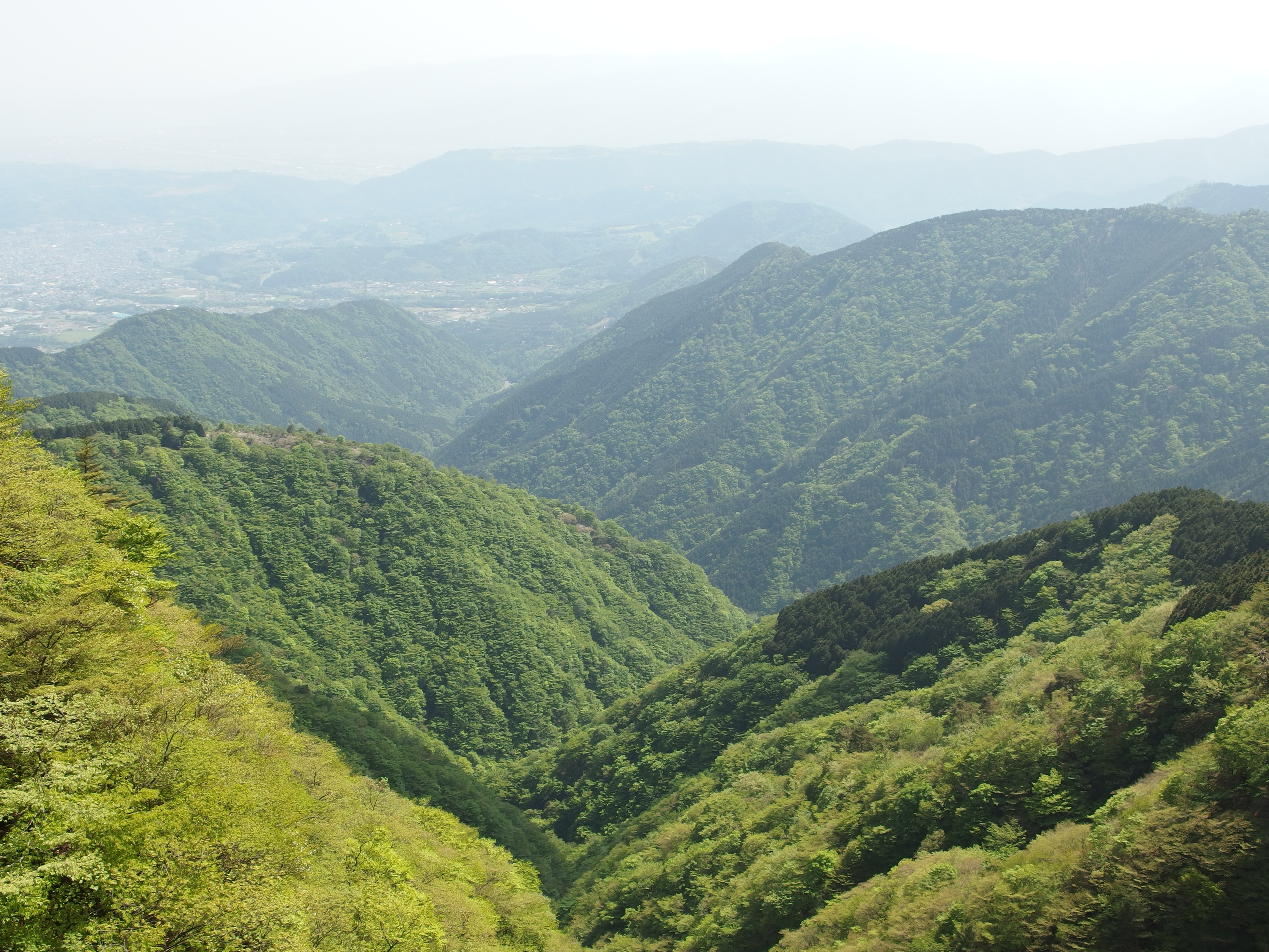 Hiking - Mount Oyama. Trekking and Backpacking trips