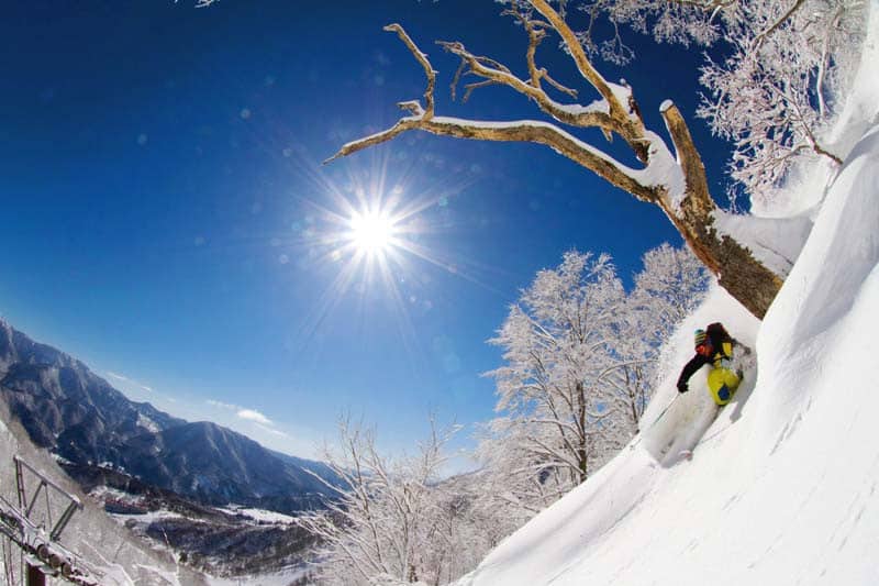 Backcountry ski guided day tours in Hakuba, Japan. Off piste skiing