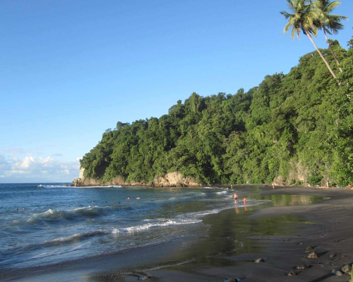 Martinique Rainforest, Beach, Waterfalls Guided Hike. 1-day trip ...