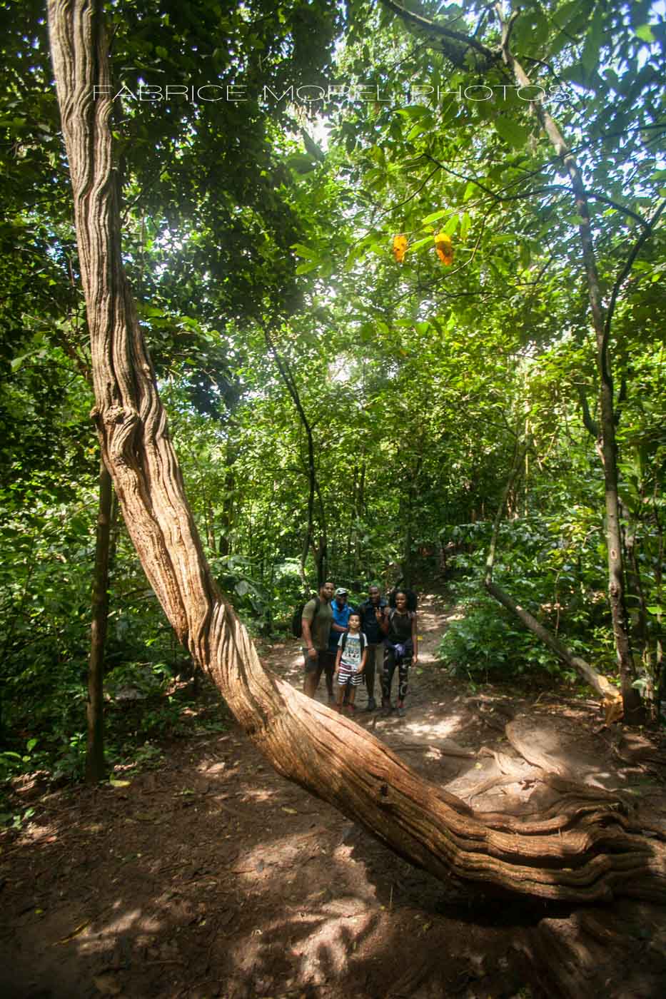 Martinique Rainforest, Beach, Waterfalls Guided Hike. 1day trip