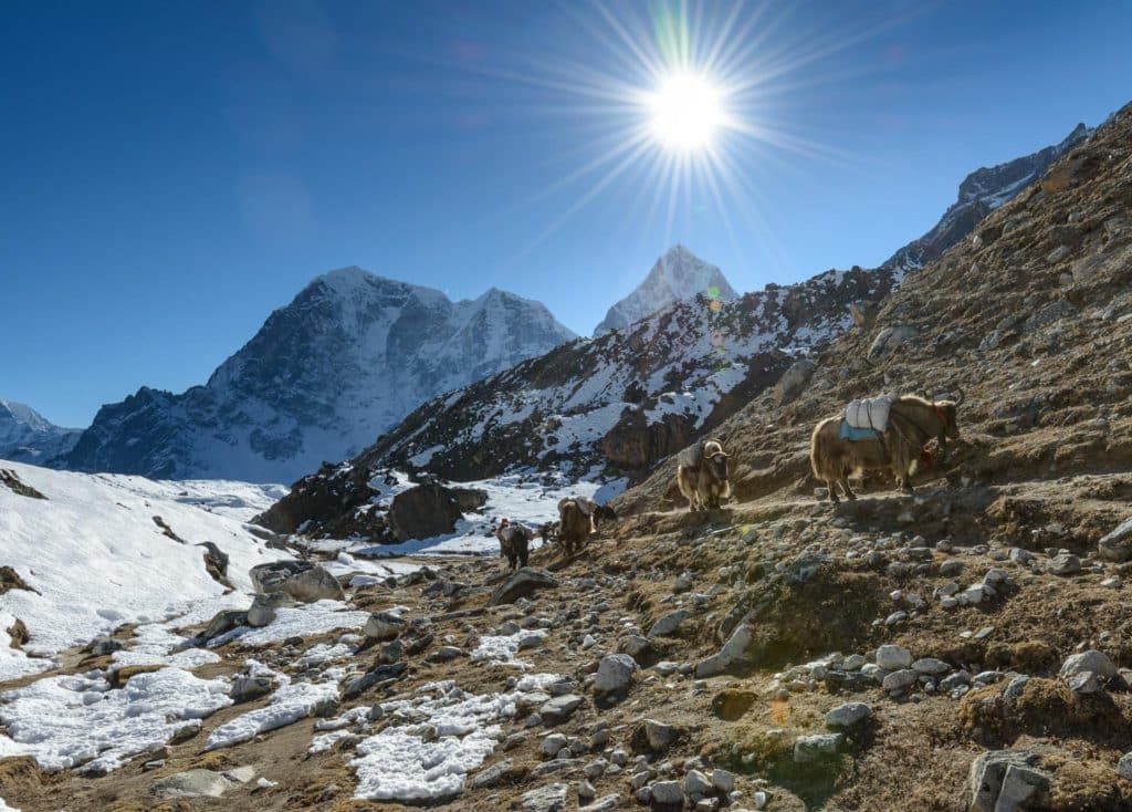 Mount Everest