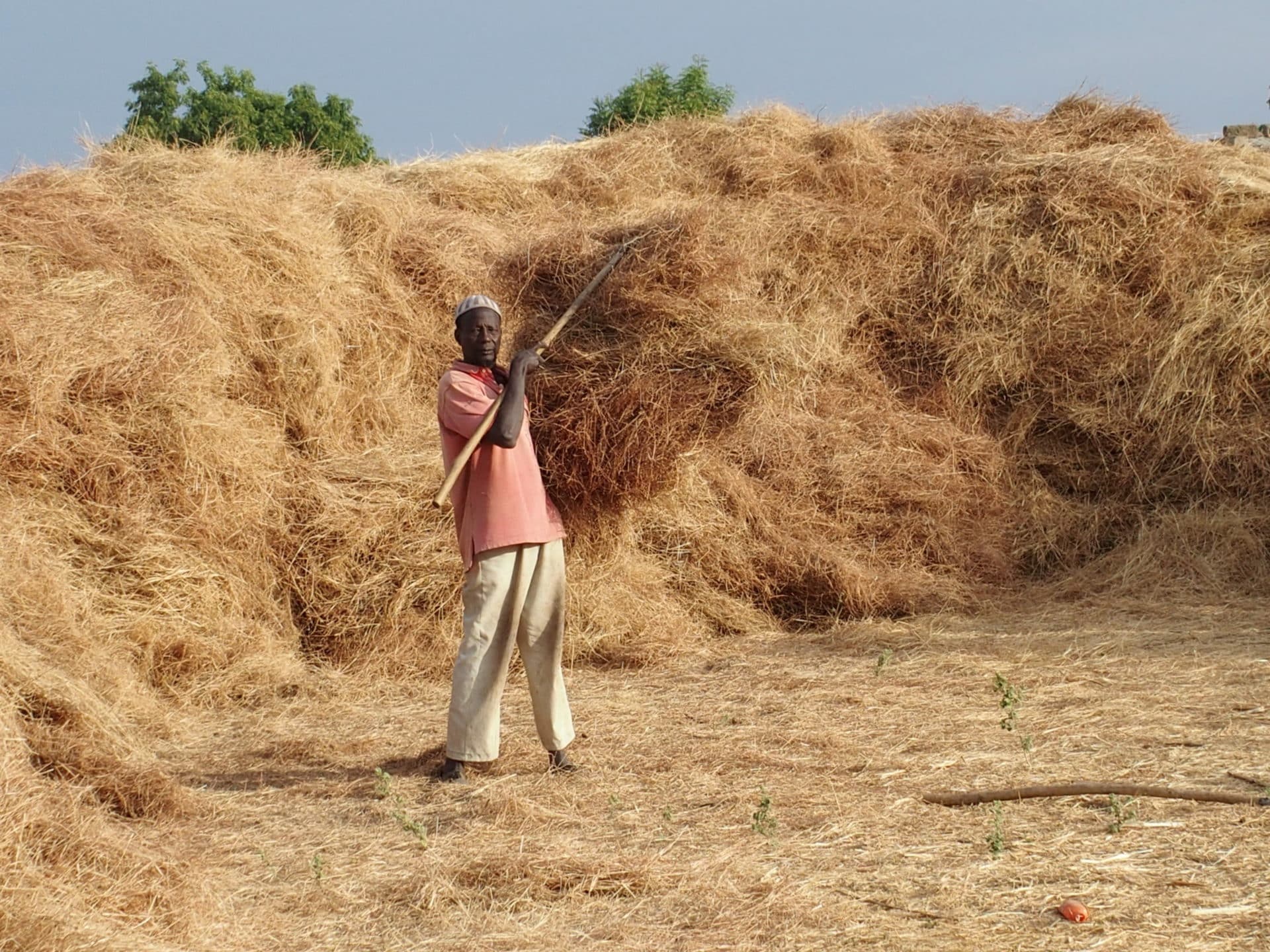 10 day guided trek in the Ferlo area, Senegal. 10-day trip. ASAM leader