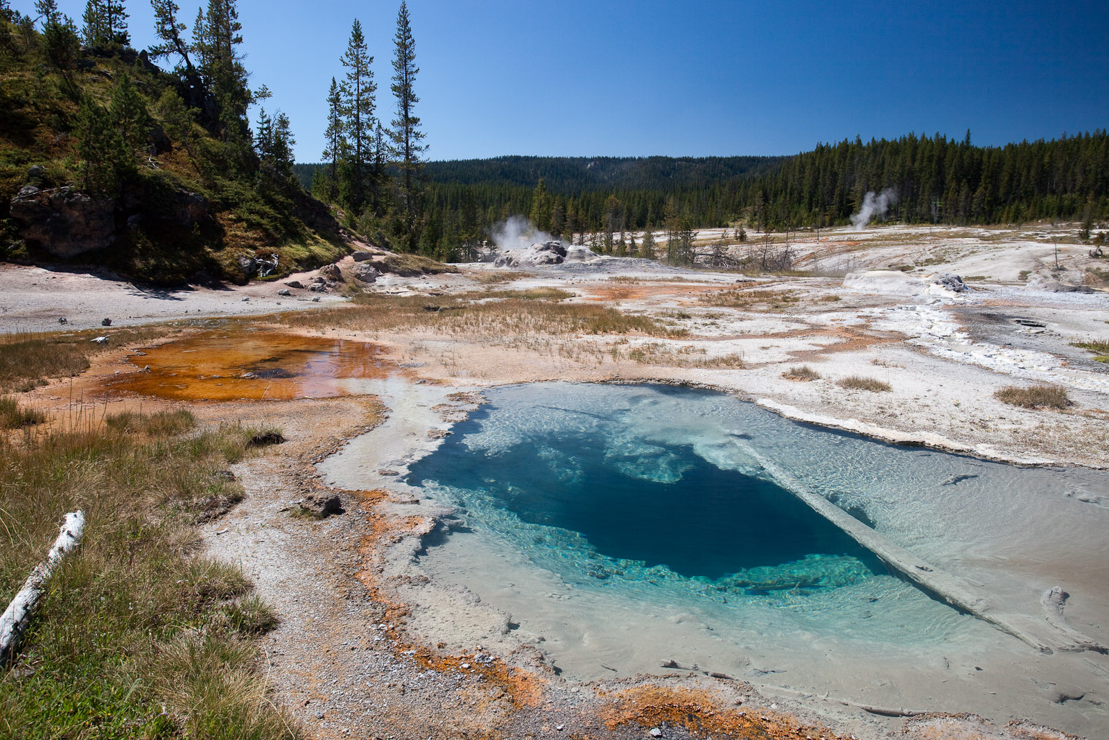 3day trek in Shoshone Geyser Basin, Yellowstone. 3day trip. Certified