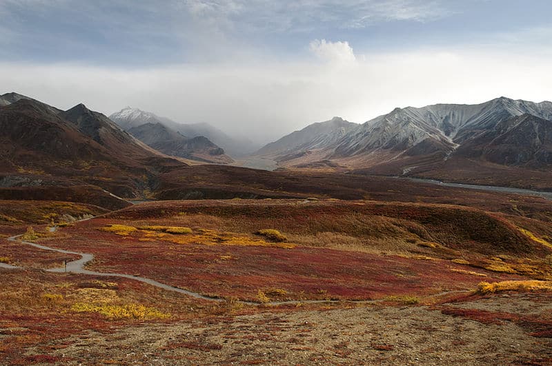 7-day Thorofare Hike in Yellowstone. 7-day trip. Certified leader