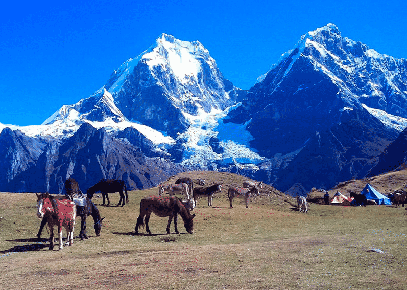 4day short Cordillera Huayhuash trek. 4day trip. Certified leader