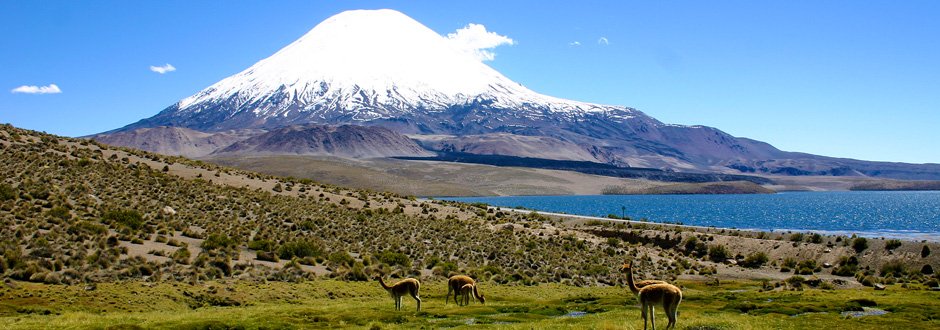 15-day Guided Expedition of the Parinacota Volcano – Chilean Altiplano ...