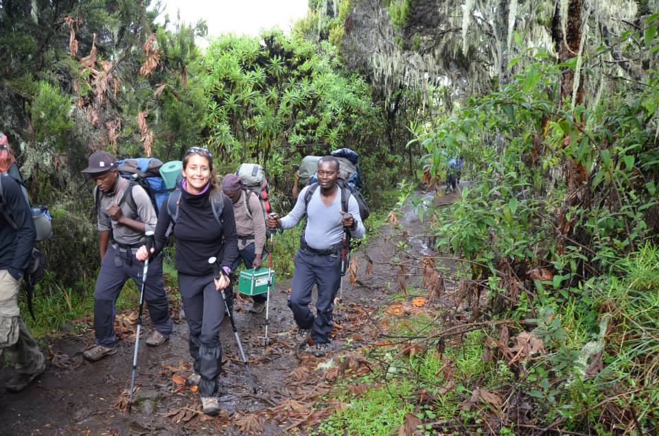 kilimanjaro