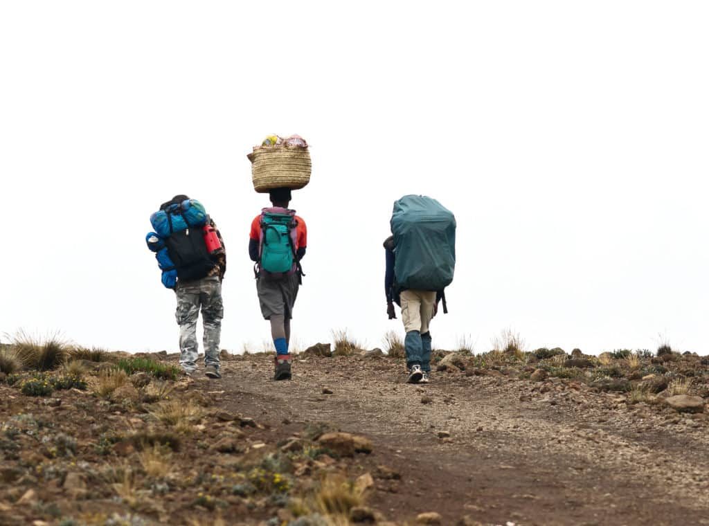 kilimanjaro