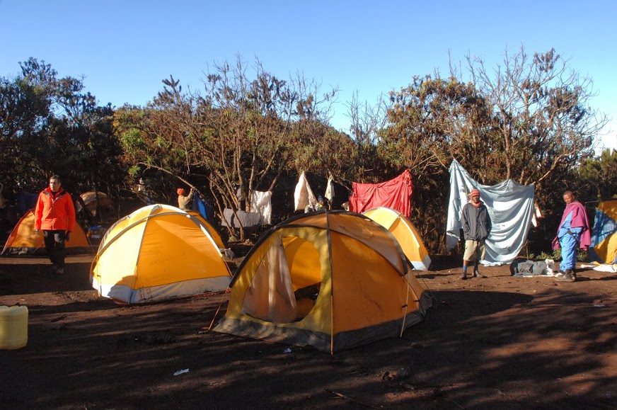 Kilimanjaro
