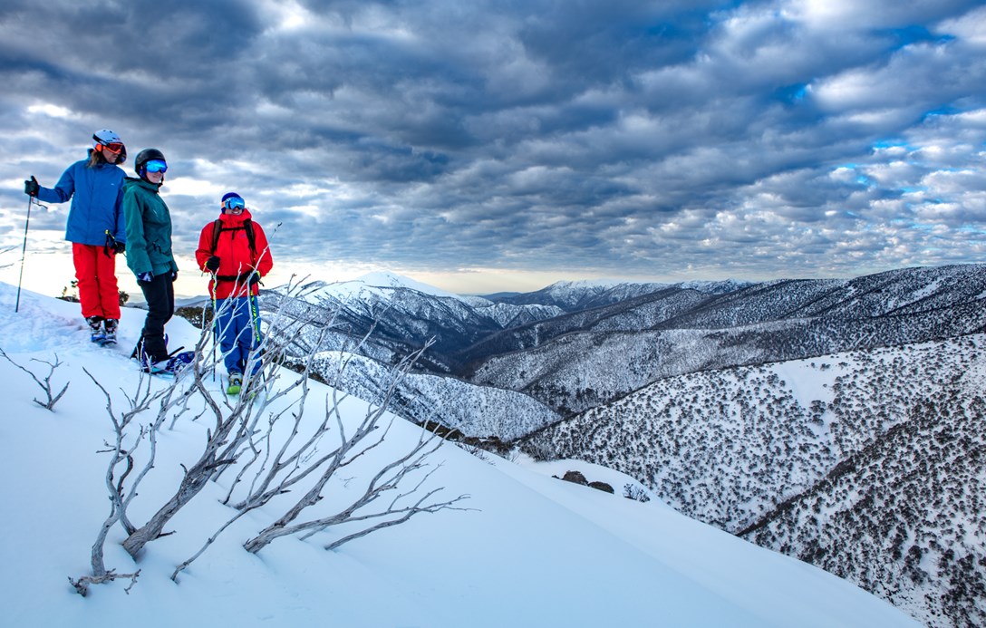 1+ day Backcountry skiing in Falls Creek, Victoria (Australia). Ski Touring trip. Certified guide