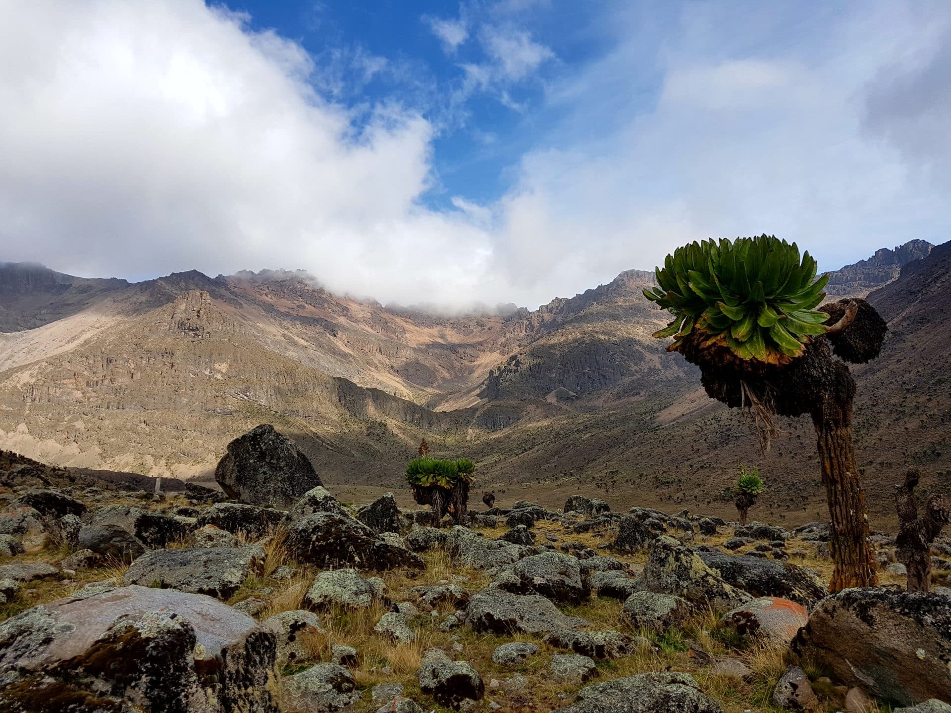 Mount Kenya Climb: Facts & Information. Routes, Climate, Difficulty