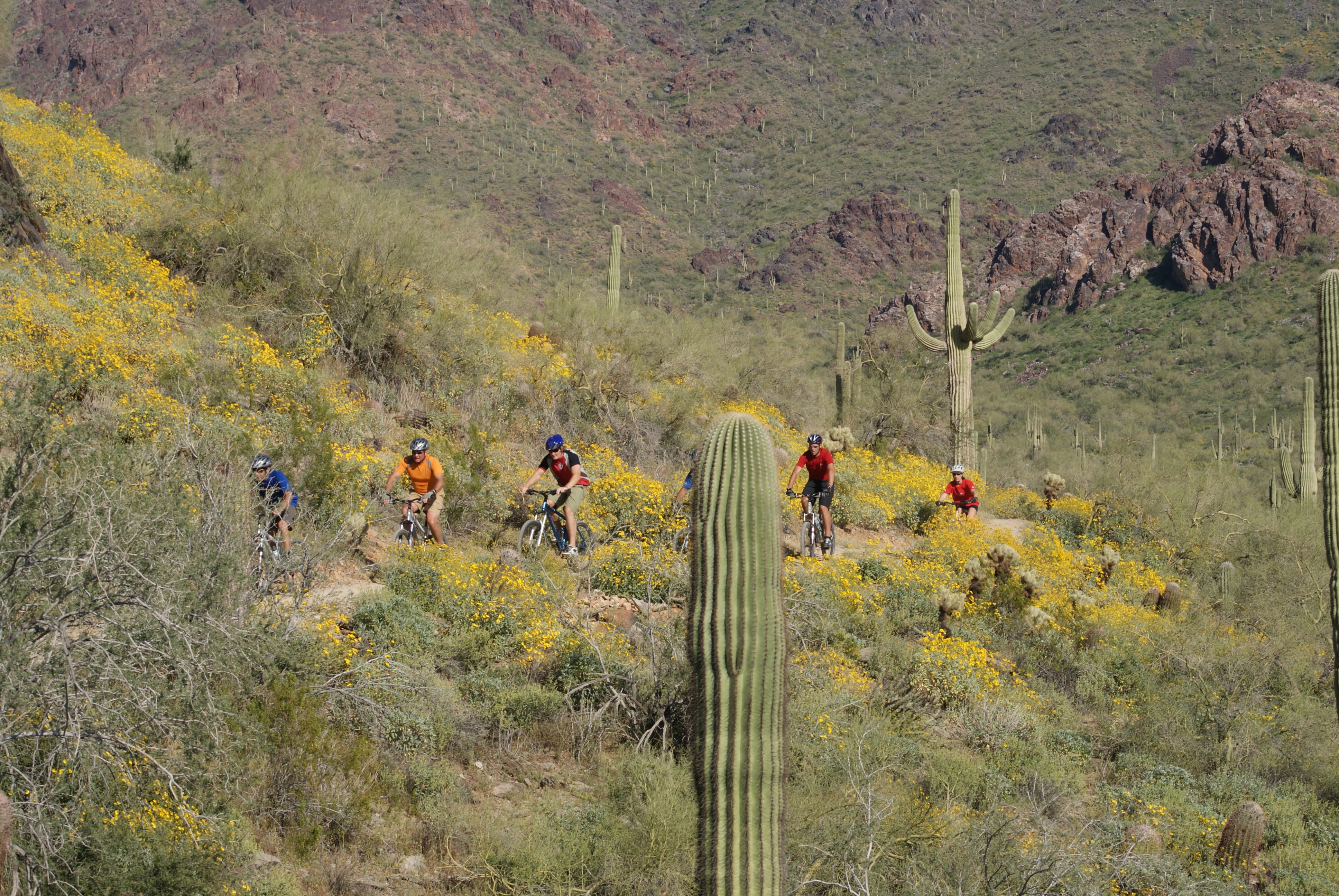 Half-day Mountain biking tour in Scottsdale, from Brown’s Ranch ...