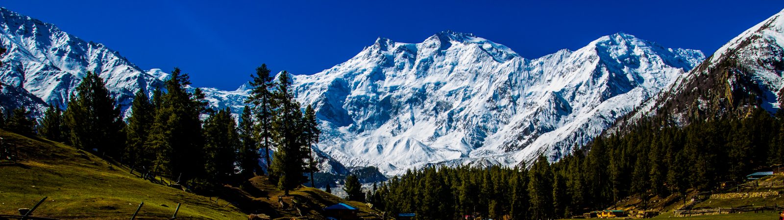 9-day Nanga Parbat Base Camp Trek In Pakistan, From The Karakoram 